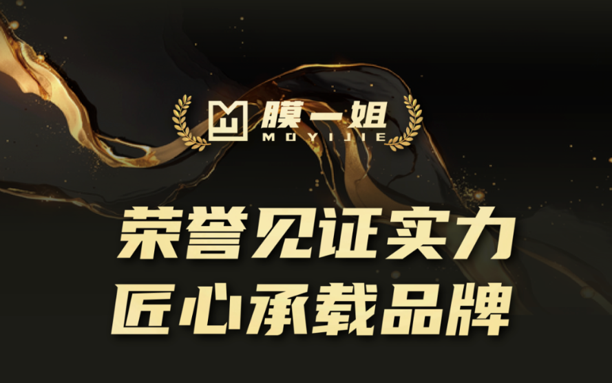 荣誉见证实力，匠心承载品牌